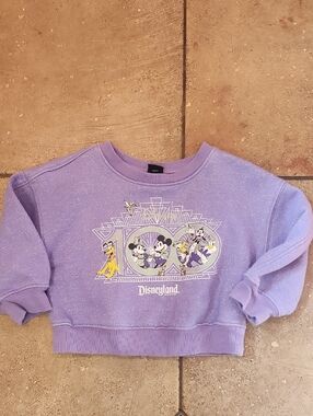 Disneyland 3t Girls 100th Celebration Sweatshirt